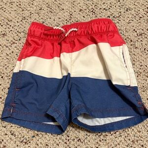 Art Class Swim Shorts